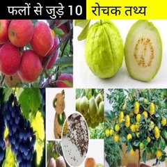 फलों से जुड़े 10 रोचक तथ्य