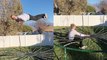 Utah man puts his bloodline at risk with 'Ballsy' stunt on world's smallest trampoline