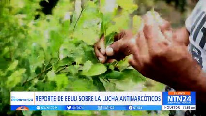 Informe del Departamento de Estado revela que el 97% de la cocaína que ingresa a EE.UU. proviene de Colombia