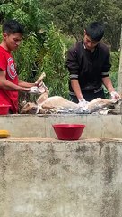 Pampered Pooch Enjoys a Luxurious Bath