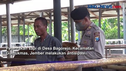 Скачать видео: Antisipasi Penyebaran Virus PMK, Peternak akan Libatkan Polisi