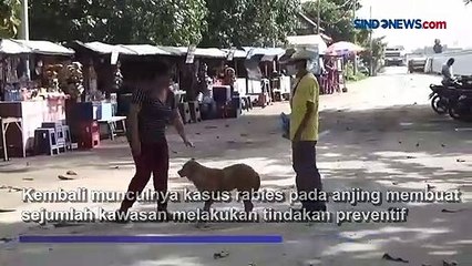 Ratusan Anjing di Desa Sanur Kaja Divaksin Rabies