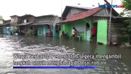 Download Video: Tanggul Jebol, Banjir Rob Rendam Ratusan Rumah Warga di Pekalongan