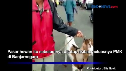 Viral dan Lucu, Cegah PMK Pedagang Ternak Pakaikan Kambing Masker saat Dijual