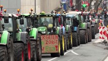 شاهد: مزارعون غاضبون يقودون 2700 جرار في شوارع بروكسل احتجاجا على خطة خفض انبعاثات النتروجين