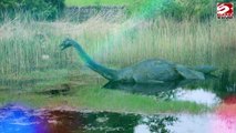 Turistas afirman haber visto al Monstruo del Lago Ness en Inglaterra