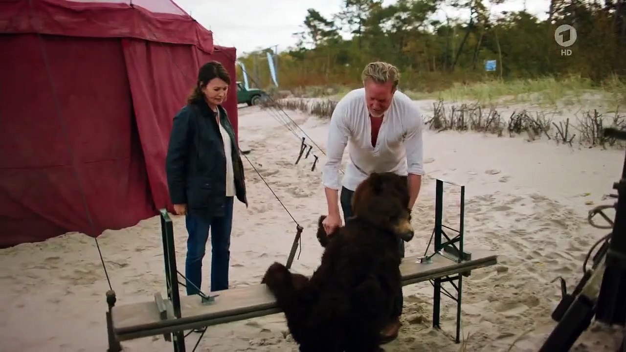 Mein Altweibersommer (2020)