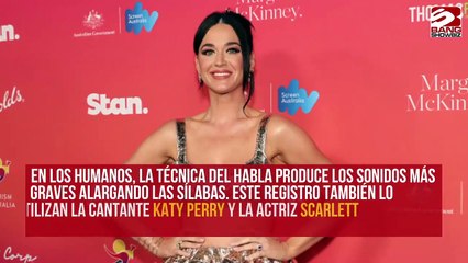 Los delfines hablan como Kim Kardashian cuando cazan peces