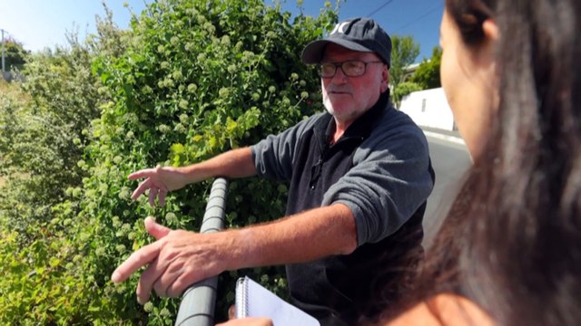 Thousands languish on social housing waitlist as housing crisis continues to bite Tasmanians