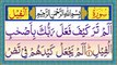 105. Surah Al-Feel Full (The Elephant) {Surah Feel with HD Arabic text} Surat Al Feil Recitation