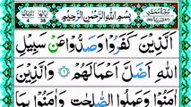 Surah Muhammad Pani Patti Full Recitation _ Surah Muhammad ki Khubsurat Tilawat