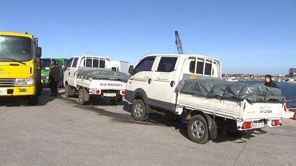 마라도 길고양이 42마리 반출 완료...이달 말 추가 이송 / YTN