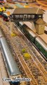 Miniature Transit Layout in Trains Miniature Models