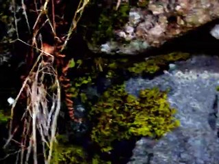 The Sounds of 7am | movie | 2023 | Official Clip