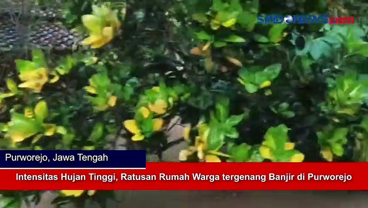 Intensitas Hujan Tinggi, Ratusan Rumah Warga tergenang Banjir di Purworejo