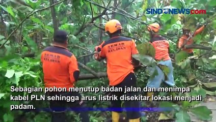 Langit Gelap dan Hujan Deras, Angin Puting Beliung Terjang Jombang