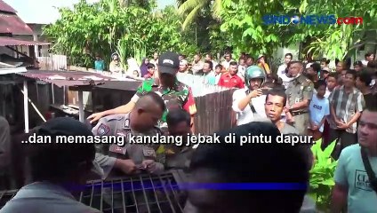 Ngeri! Seekor Macan Masuk Dapur Rumah Warga di Pasaman