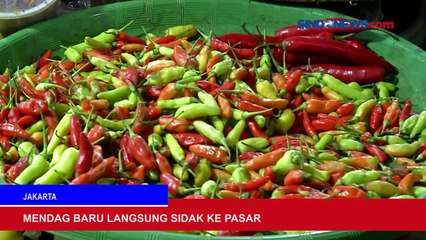 Sehari Setelah Dilantik Zulkifli Hasan Sidak Pasar dan Larangan Naik Motor Bersendal Jepit Tuai Polemik.