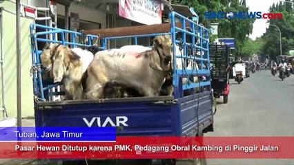 Pasar Hewan Ditutup karena PMK, Pedagang Obral Kambing di Pinggir Jalan
