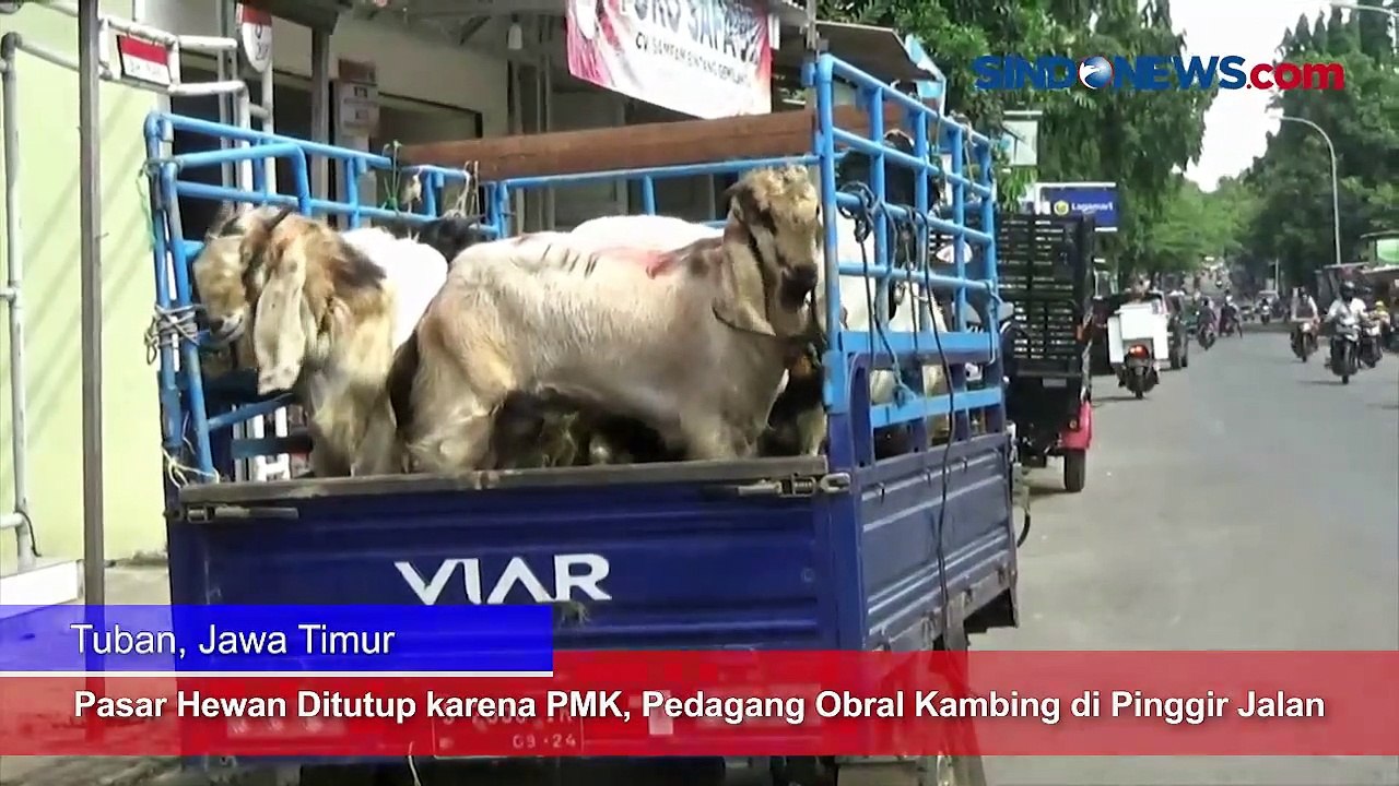 Pasar Hewan Ditutup karena PMK, Pedagang Obral Kambing di Pinggir Jalan