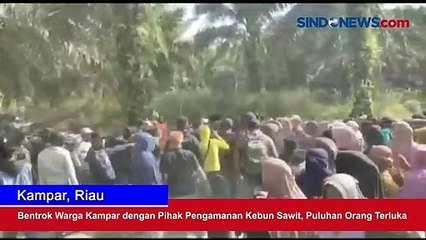 Bentrok Warga Kampar dengan Pihak Pengamanan Kebun Sawit, Puluhan Orang Terluka