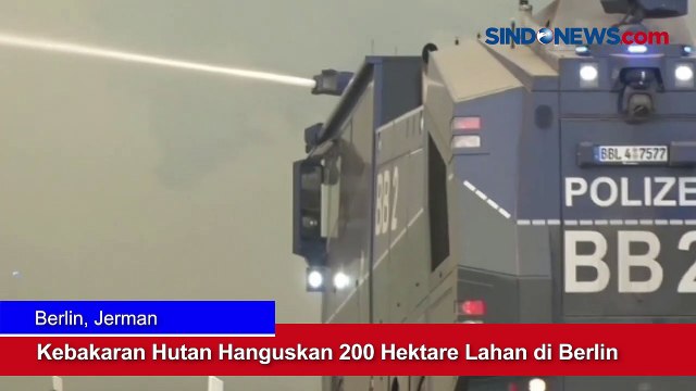 Kebakaran Hutan Hanguskan 200 Hektare Lahan di Berlin