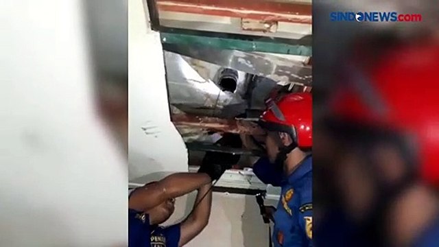 Ngeri Ular Sanca Bersembunyi di Lubang Toilet Perkantoran, Begini Penampakannya