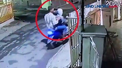 Aksi Pencurian Kucing Anggora Terekam CCTV