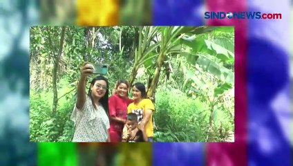 Viral, Pohon Pisang Berbuah di Batangnya