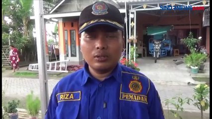 Télécharger la video: Duh! Evakuasi Sarang Tawon Vespa di Jombang, Petugas Disengat