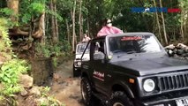 Jelajahi Hutan Pinus Mangunan dengan Jeep di Yogyakarta