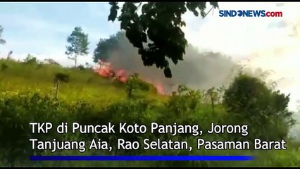 Puluhan Hektare Kebun Warga Terbakar di Pasaman Barat