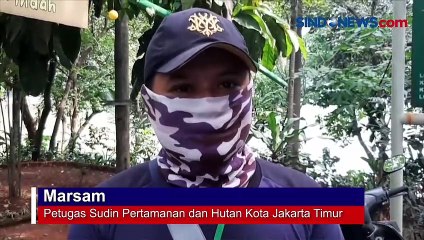 Petugas Pertamanan Temukan Mayat Pria di Danau Cibubur, Jakarta Timur