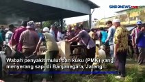 Jelang Idul Adha, Harga Kambing dan Domba di Banjarnegara Naik Sampai Rp500.000