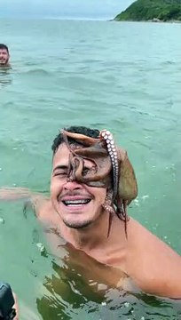 Octopus Hitches a Ride on Swimmer