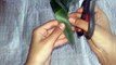 coconut leaf bird |how to make bird using coconut leaves |coconut leaf craft