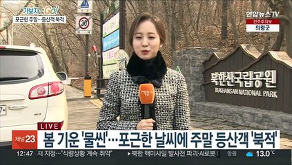 따뜻한 봄 날씨 등산객 '북적'…안전사고·산불 조심