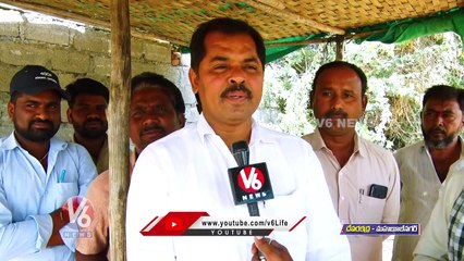 Devarakadra Cattle Market _ Cows,Bulls And Buffalo Market In Devarakadra _  V6 News