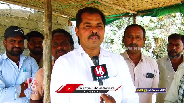 Devarakadra Cattle Market _ Cows,Bulls And Buffalo Market In Devarakadra _ V6 News