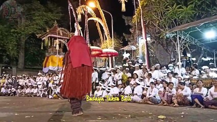 Terjadi KERAUHAN MASSAL saat Sesuhunan Desa Adat Kedonganan mesolah di Pura Dalem Tengkulung