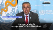 WHO urges countries to come clean on Covid origins intel to 'advance understanding'