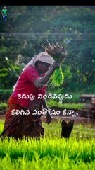 చేతినిండా పని..! #shorts #viral #shortsfeed #viraltoday #trending #youtubeshorts #short #reels #work