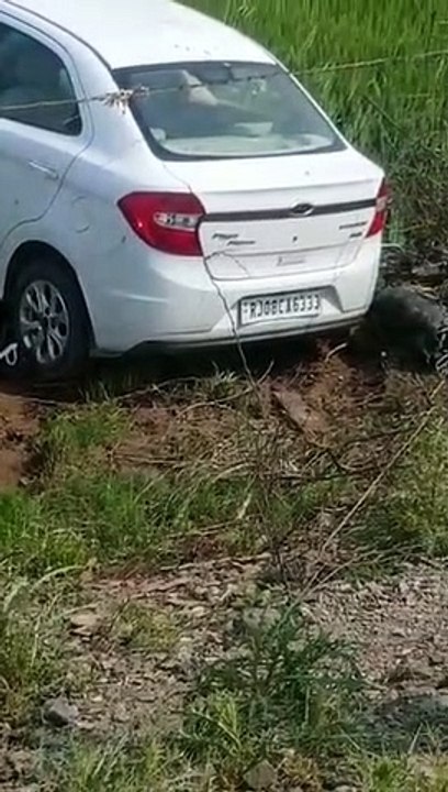 Video : कार व बाइक में भिडंत में बाइक सवार की मौत, कार चालक भी घायल