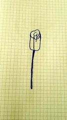 fiore disegno fatto da me