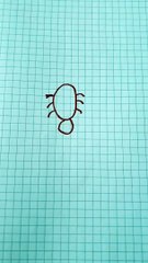 ragno disegno  fatto  da  me