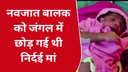 बारां : जंगल मे झाड़ियों से आई नवजात की आबाज, जिसे बारां किया भर्ती, देखिए तस्वीरें