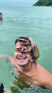 Octopus Hitches a Ride on Swimmer