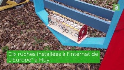 Benoit Pirard construit dix ruches avec des stagiaires à l'internat de L'Europe à Huy