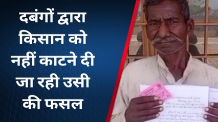 चित्रकूट: भाजपा राज में दबंगों का आतंक, किसान को उसी के खेत से नहीं काटने दे रहे फसल