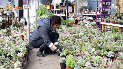 40대에 당뇨 진단을 받고 꾸준한 관리로 완화된 그녀의 사연은?
